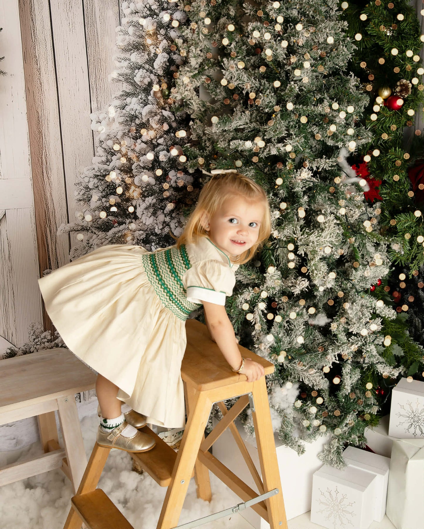 Annelise Smocked Back & Front Dress With Matching Socks